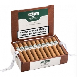 Bentley White Robusto