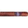 La Instructora Perfection Short Robusto