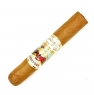 Paradiso Elegancia Robusto