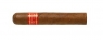 Partagas Serie D No.5