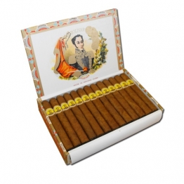 Bolivar Petit Coronas