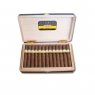 Cohiba Maduro 5 Secretos 