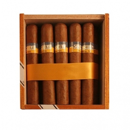 Cohiba Robustos