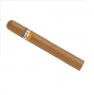 Cohiba Siglo 2