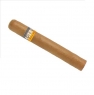 Cohiba Siglo 6 (10 шт)