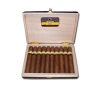 Cohiba Maduro 5 Genios 