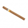 Cohiba Panetelas