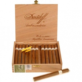 Davidoff Ambassadrice