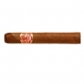 Partagas Shorts