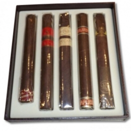 Rocky Patel Humidor Selection Toro Sampler