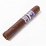 Rocky Patel Private Cellar Collection Robusto